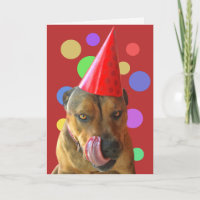 Perro con morena de toro con besos Gorras Fiestas