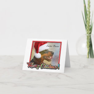 Tarjeta Perro con sombrero de Santa - Saludo de Navidad de