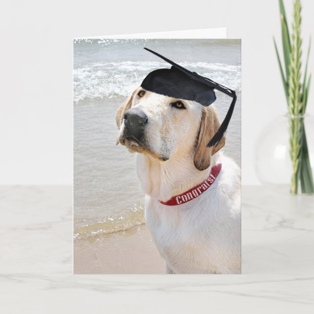 Tarjeta Perro con tapón negro de graduación (Anverso)
