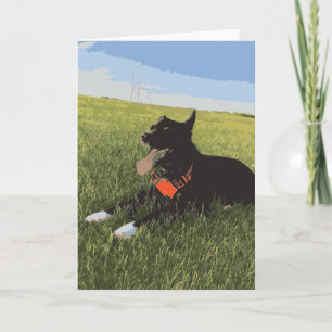 Tarjeta Perro Con Tonga En El Campo