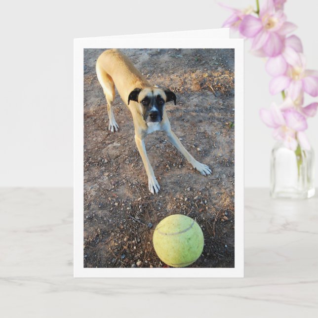 Tarjeta Perro con una gran bola de tenis (Orquídea)
