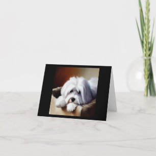 Tarjeta Perro Coton de Tulear