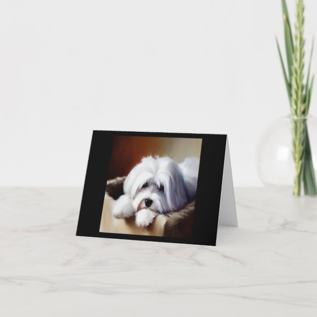Tarjeta Perro Coton de Tulear (Anverso)