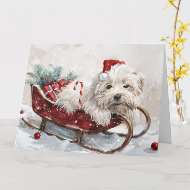 Tarjeta Perro Coton De Tulear Fiesta Navideña (flor amarilla)
