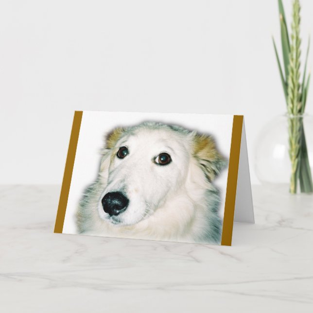 Tarjeta perro culpable (Anverso)