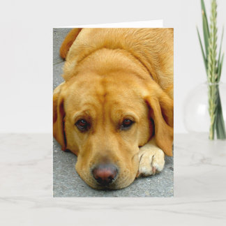 Tarjeta Perro Cute