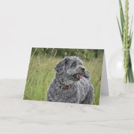 Tarjeta Perro Cute Terrier