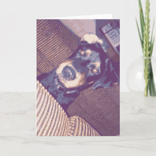 Tarjeta Perro Cuto Con Una Oreja Rotulante Volteada Hacia 