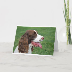 Tarjeta Perro de aguas de Bretaña