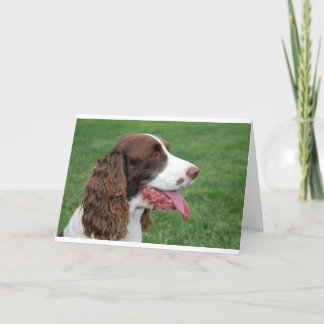 Tarjeta Perro de aguas de Bretaña