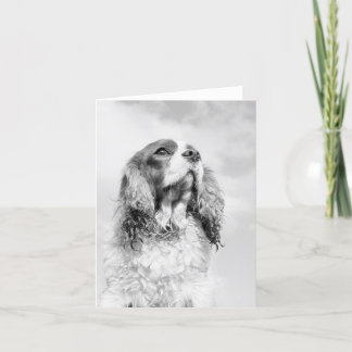 Tarjeta Perro de aguas de rey Charles arrogante en un