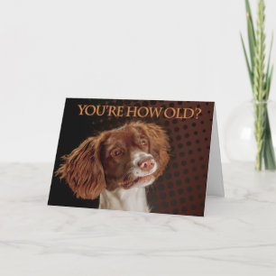 Tarjeta ¿Perro de aguas de saltador de Brown y de la