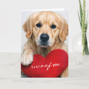 Tarjeta Perro de aguas dorado de aniversario con cojín de