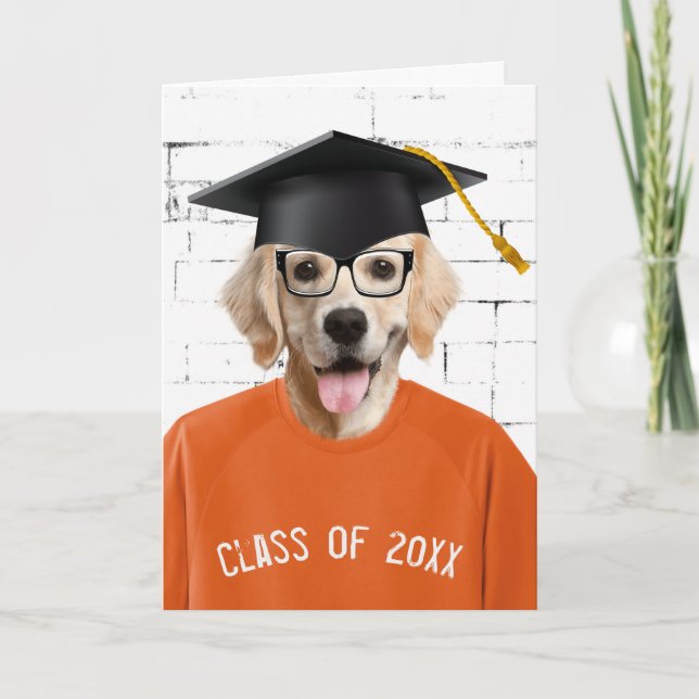 Tarjeta Perro de aguas dorado graduado con gorra negra (Anverso)