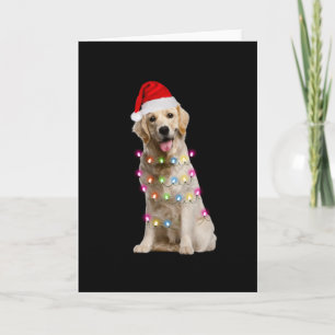 Tarjeta perro de aguas retriever dorado sentado con navida