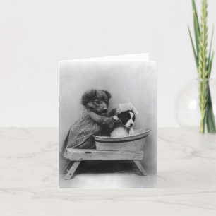 Tarjeta Perro de baño de perro
