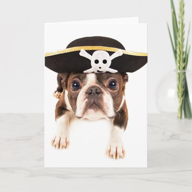 Tarjeta Perro de Boston Terrier vestido como pirata (Anverso)
