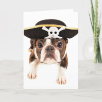 Perro de Boston Terrier vestido como pirata