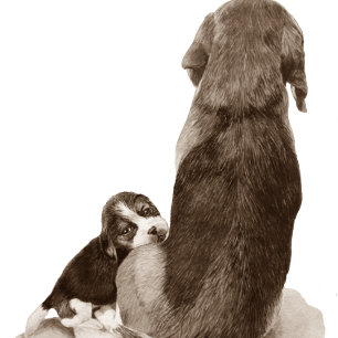 Tarjeta Perro de cachorro beagle con verso para papá