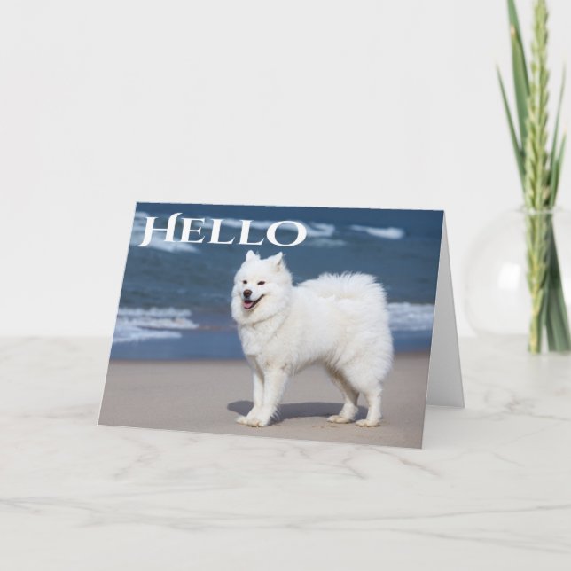 Tarjeta Perro De Cachorro Blanco Samoyado - Hola, Pensando (Anverso)