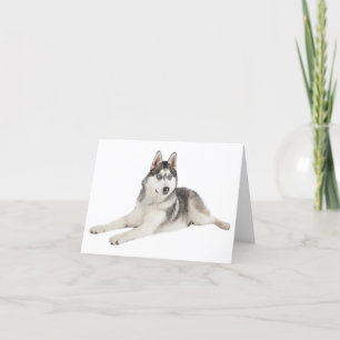 Tarjeta Perro de cachorro siberiano en blanco Hola, te qui