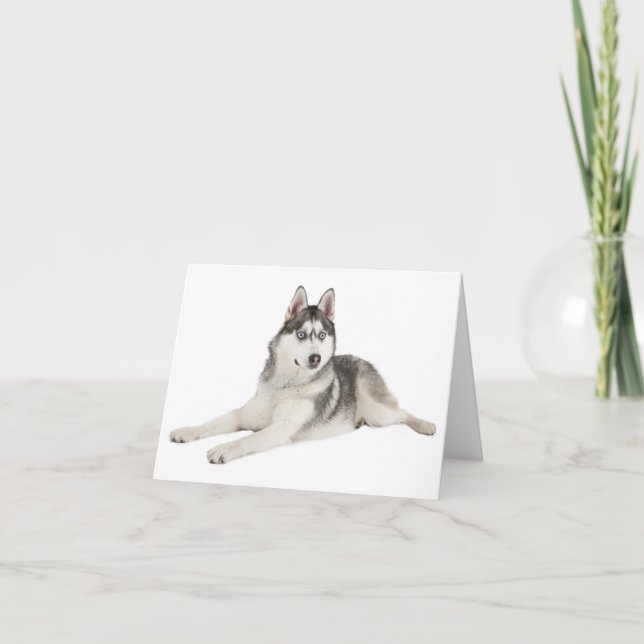 Tarjeta Perro de cachorro siberiano en blanco Hola, te qui (Anverso)