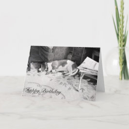 Tarjeta Perro de caza