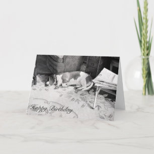 Tarjeta Perro de caza