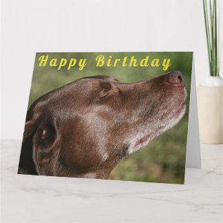 Tarjeta Perro de chocolate blanco - Feliz cumpleaños