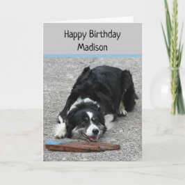 Tarjeta Perro de Collie Fronterizo, cumpleaños feliz, pers