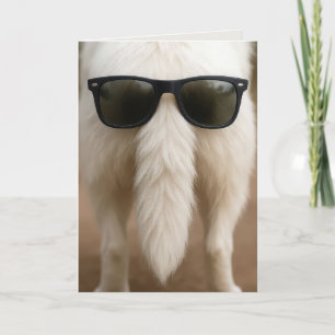 Tarjeta Perro de cumpleaños con gafas de sol en la cola