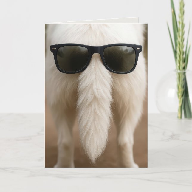 Tarjeta Perro de cumpleaños con gafas de sol en la cola (Anverso)
