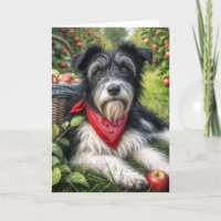 Perro de cumpleaños en un huerto de Apple