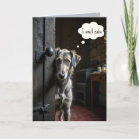 Perro de cumpleaños mirando alrededor de una puert