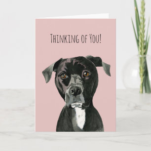 Tarjeta Perro de Cute Pit Bull Terrier   Pensar en ti