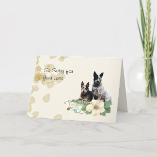 Tarjeta Perro de ganado australiano, Tan deja simpatía