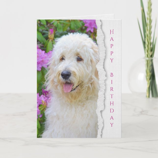 Tarjeta Perro de Goldendoodle en cumpleaños del jardín (Anverso)