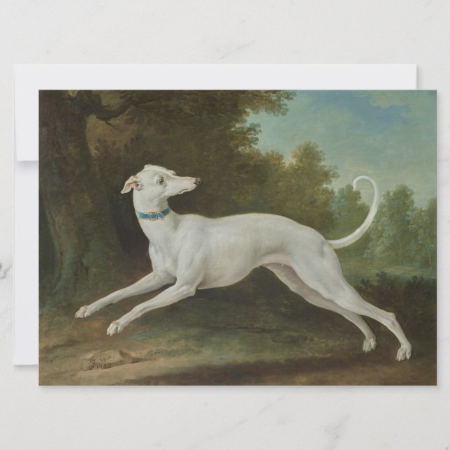 Tarjeta Perro de Greyhound Blanco (Anverso)