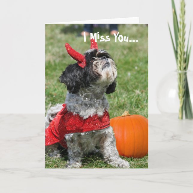 Tarjeta Perro de Halloween Shih Tzu (Anverso)