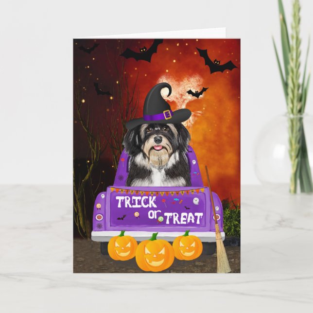 Tarjeta Perro de Haván en un camión de Halloween (Anverso)