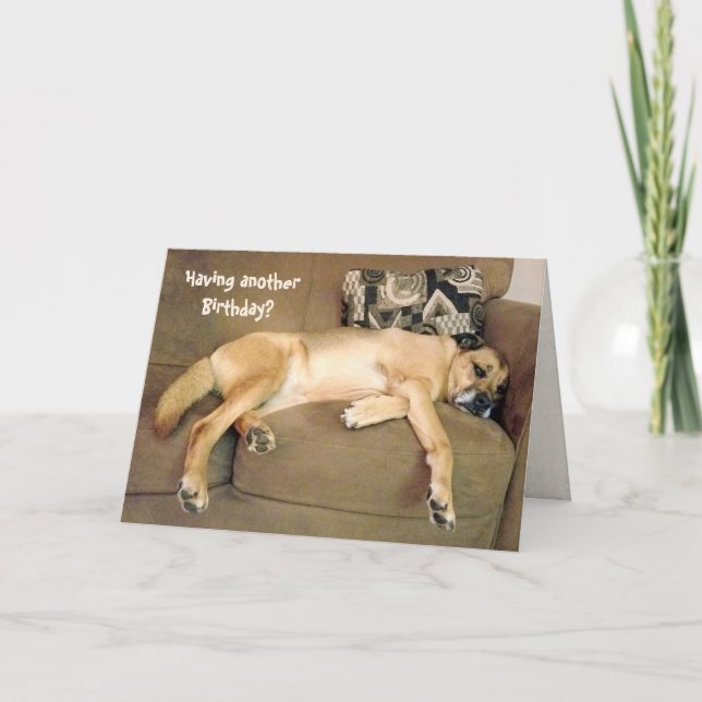 Tarjeta Perro de Hound de Cumpleaños (Anverso)