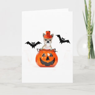 Tarjeta Perro de la chihuahua de Halloween