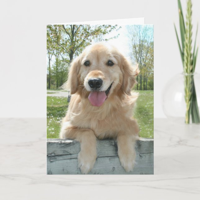 Tarjeta Perro de la recuperación de oro en la cerca pensan (Anverso)
