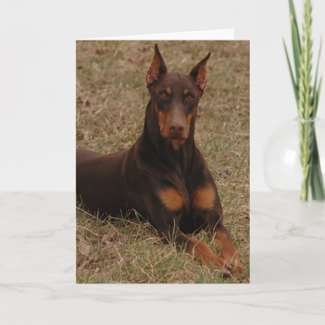 Tarjeta Perro de la última guardia (Anverso)