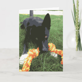 Tarjeta Perro de Laboratorio Cuidado con juguete negro