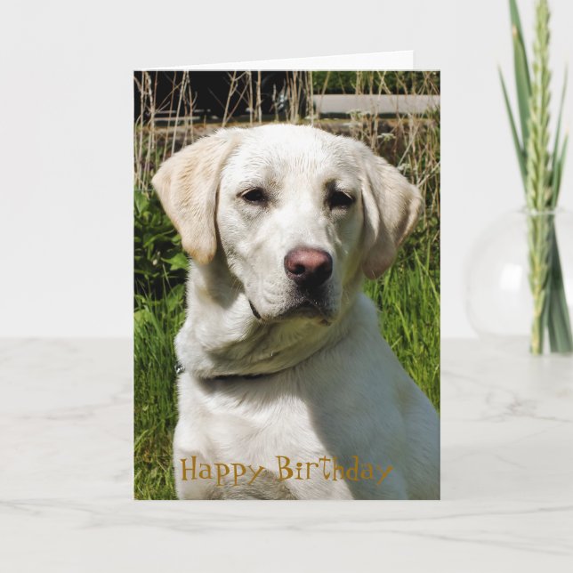 TARJETA PERRO DE LABRADOR (Anverso)