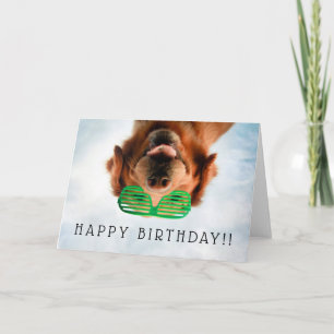 Tarjeta Perro de las imágenes el de Getty con los
