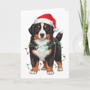 Tarjeta Perro de montaña bernés luces sombrero Santa Navid