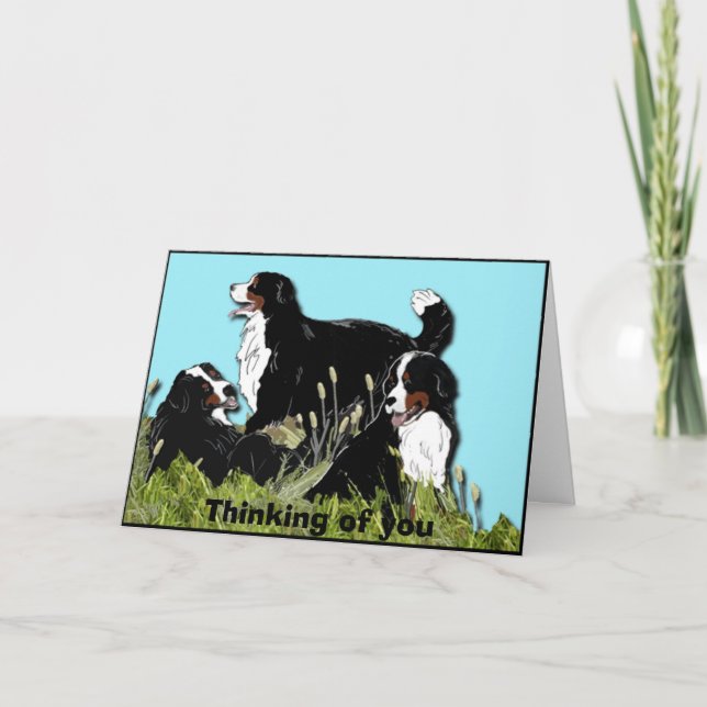 Tarjeta Perro de montaña de Bernese (Anverso)