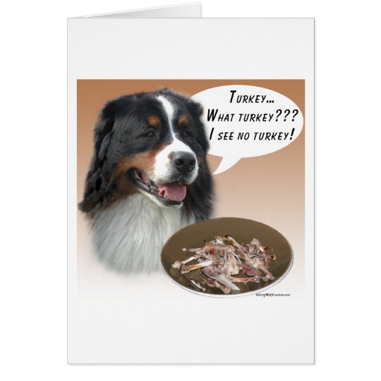 Tarjeta Perro de montaña de Bernese Turquía